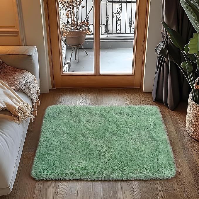 Small Area Rug, 2x3 Rug for Bedroom Shaggy Throw Rugs for Dorm Rug, Soft Shag Carpet for Kids Room, Plush Comfy Fluffy Bedside Rug for Home Decor Aesthetic, Mint Green