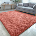 OLANLY 5x8 Machine Washable Large Area Rugs for Living Room, Bedroom, Soft Fluffy Shaggy Bedside Rug, Indoor Floor Carpet for Kids Girls and Boys, Dorms, Nursery, Home Decor Aesthetic, Rust Red
