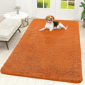 OLANLY Dog Door Mat for Muddy Paws 70x46, Absorbs Moisture and Dirt, Absorbent Non-Slip Washable Doormat, Quick Dry Chenille Mud Mat for Dogs, Entry Indoor Entryway Carpet for Inside Floor, Clay