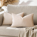 GIGIZAZA 12x20 Lumbar Pillow Covers: Pack of 2 Champagne Beige Throw Pillows Super Soft Velvet Covers - Decorative Vintage Rectangle Solid Elegant Cushion Covers Used for Couch,Living Room