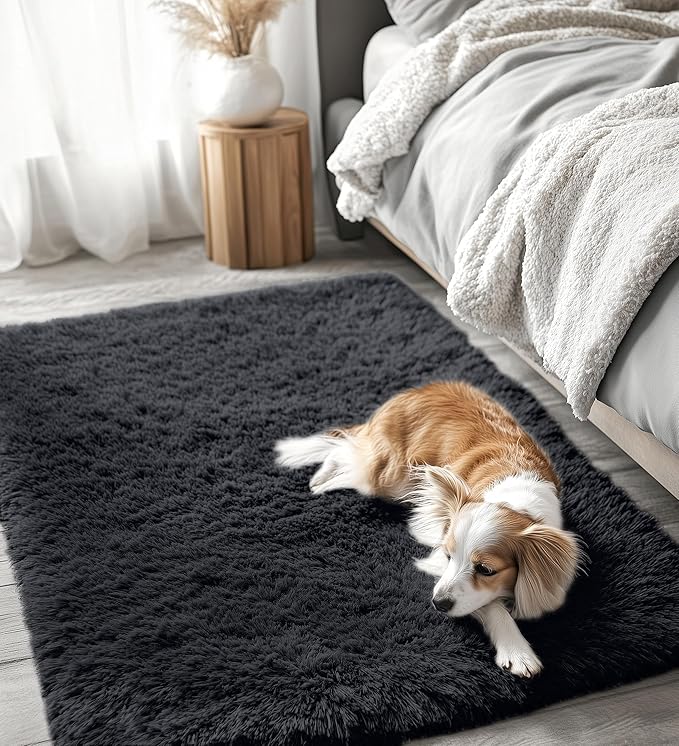 OLANLY 4x4 Machine Washable Accent Rug, Soft Fluffy Shaggy Area Rug for Bedroom, Living Room, Indoor Floor Carpet for Kids, Nursery, Home Decor, Black