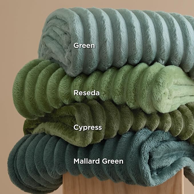 Bedsure GentleSoft Reseda Full Blanket for Couch - Cozy Soft Blankets for Women, Cute Small Fleece Throws for Girls, Birthday Gifts for Women Decor Gifts for Mom, 84x90 Inches