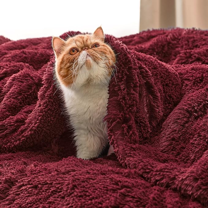 Bedsure GentleSoft Fluffy Burgundy Red Throw Blanket, Maroon Red Decor Gifts for Women, Soft Cozy Fuzzy Sherpa Fleece Plush Thick Warm Faux Fur Throws for Couch, Bed, Blanket for Mom, 50x60