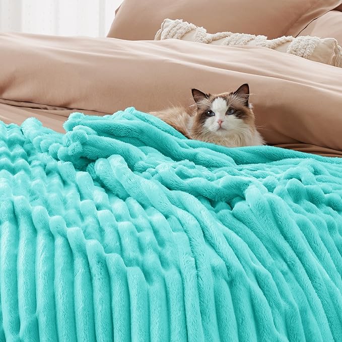 Bedsure GentleSoft Blue Queen Blanket for Bed - Cozy Soft Blankets for Women, Cute Small Fleece Throws for Girls, Birthday Gifts for Women Decor Gifts for Mom, Blue Fog, 90x90 Inches