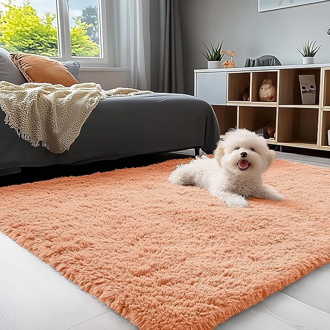OLANLY 3x5 Machine Washable Small Bedside Rug, Soft Fluffy Shaggy Rugs for Living Room, Bedroom, Indoor Floor Carpet for Kids Girls and Boys, Preppy Dorms, Nursery, Home Decor Aesthetic, Muted Orange