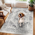 Washable 3x5 Area Rug for Entryway - Kitchen Non Slip Low-Pile Rugs Vintage Soft Thin Carpet Small Stain Resistant Mat for Bedroom Entrance Bathroom Floor Decor (Distessed Grey)