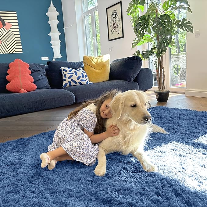 OLANLY 6x9 Machine Washable Large Area Rugs for Living Room, Bedroom, Soft Fluffy Shaggy Bedside Rug, Indoor Floor Carpet for Kids Girls and Boys, Dorms, Nursery, Home Decor Aesthetic, Blue
