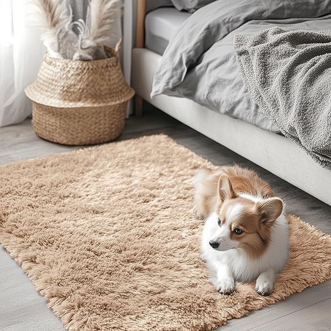 OLANLY 2x2 Machine Washable Small Rug, Soft Fluffy Shaggy Throw Rug for Bedroom, Entryway, Indoor Floor Carpet for Kids, Nursery, Home Decor, Beige