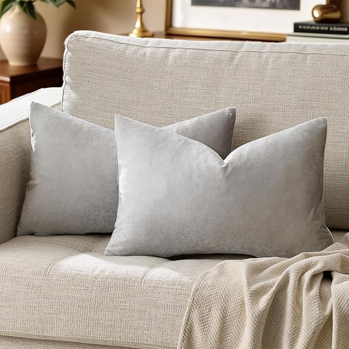 Silver Grey Velvet Decorative Throw Pillow Covers for Sofa Bed 2 Pack Soft Cushion Cover