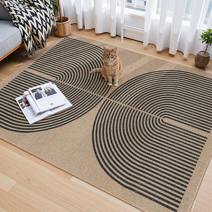 Lahome Enfys Modern Rainbow Easy Jute Office Rug, Outdoor Patio Rug 4x6 for Living Room Washable Carpet for Bedroom, Farmhouse Contemporary Non Slip Non Shedding Black Carpet for Backyard