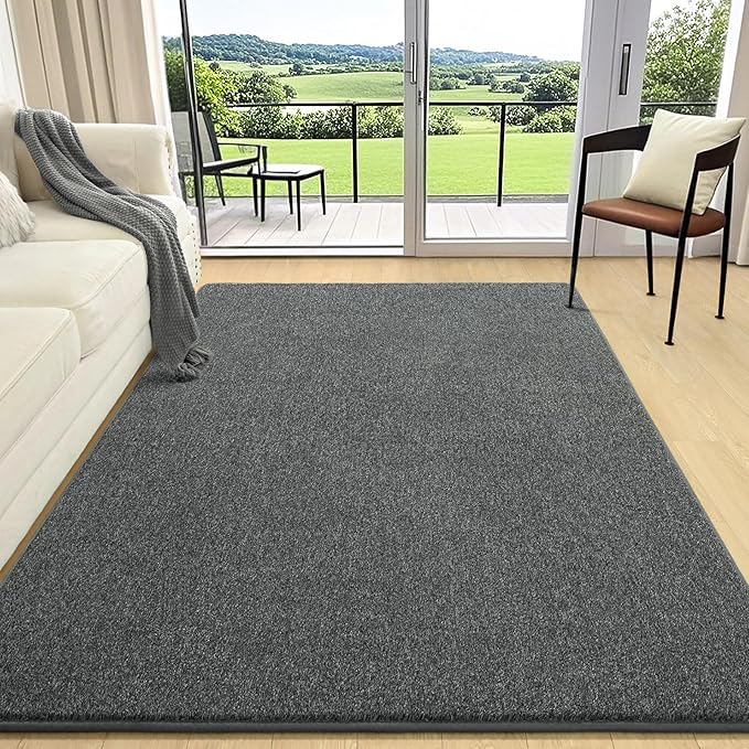 AROGAN Washable 4×6 Living Room Rug, Modern Area Rugs with Soft Memory Foam for Bedroom, Minimalist Non-Slip Indoor Floor Carpet for Dining Room Office Kids Playroom Decor, Black and White