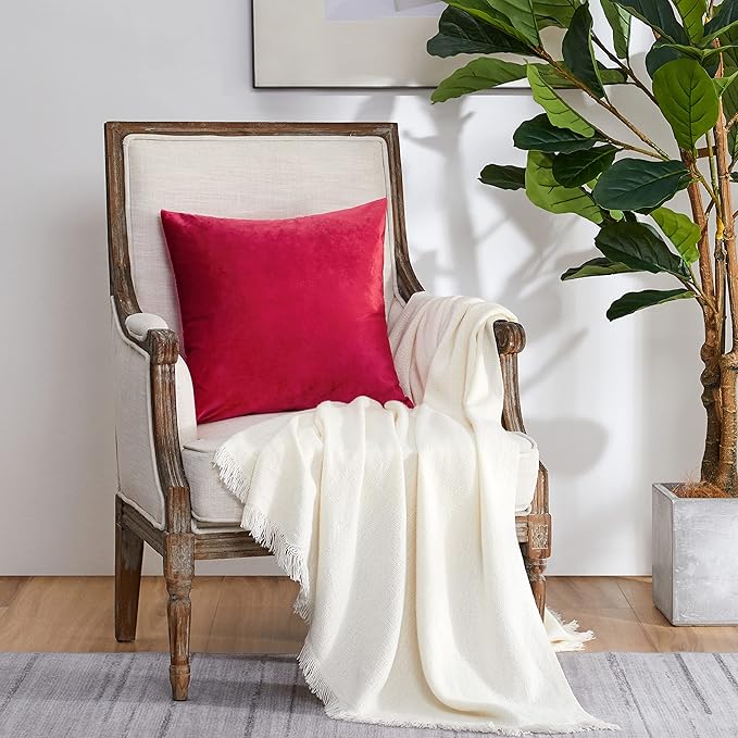 GIGIZAZA Red Velvet Decorative Throw Pillow Covers for Sofa Bed 2 Pack Soft Cushion Cover 20x20
