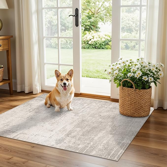 HAOYUNLAI 2x3 Entryway Area Rug: Washable Kitchen Bedroom Carpet Soft Abstract Laundry Bathroom Rugs with Non-Slip Backing Easy-Clean Distressed Home Decor Floor Mat for Pets Family (2x3,Beige/Cream)