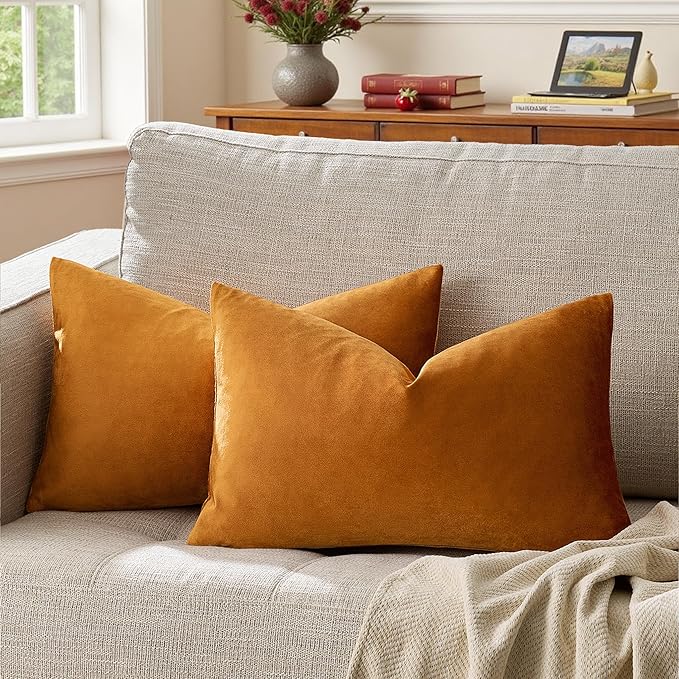 GIGIZAZA Cinnamon Orange Velvet Decorative Throw Pillow Covers for Sofa Bed 2 Pack Soft Cushion Cover