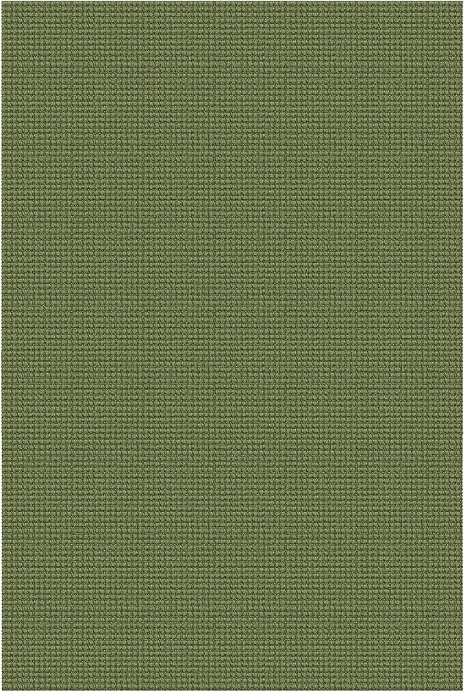 KOZYFLY Washable Area Rug 5x7 ft Rubber Backed Non Slip Rugs for Living Room Braided Cotton Bedroom Rug Woven Office Rugs Indoor Floor Carpets for Dining Bedroom Living Room, Bright Green/Earthy Green