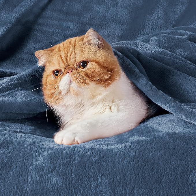 Bedsure GentleSoft Fleece Blanket Twin Size Mineral Blue - 300GSM Lightweight Plush Fuzzy Cozy Soft Warm Blanket for Bed, Sofa, Couch, Travel, Camping, 60x80 inches