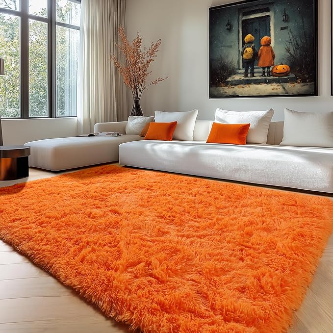 ONASAR Orange Rugs for Living Room Bedroom, 5x8 Fluffy Bedside Area Rug, Soft Plush Shaggy Indoor Floor Carpet for Nursery Kids Girls Boys Teen Dorm Home Office Decor Aesthetic