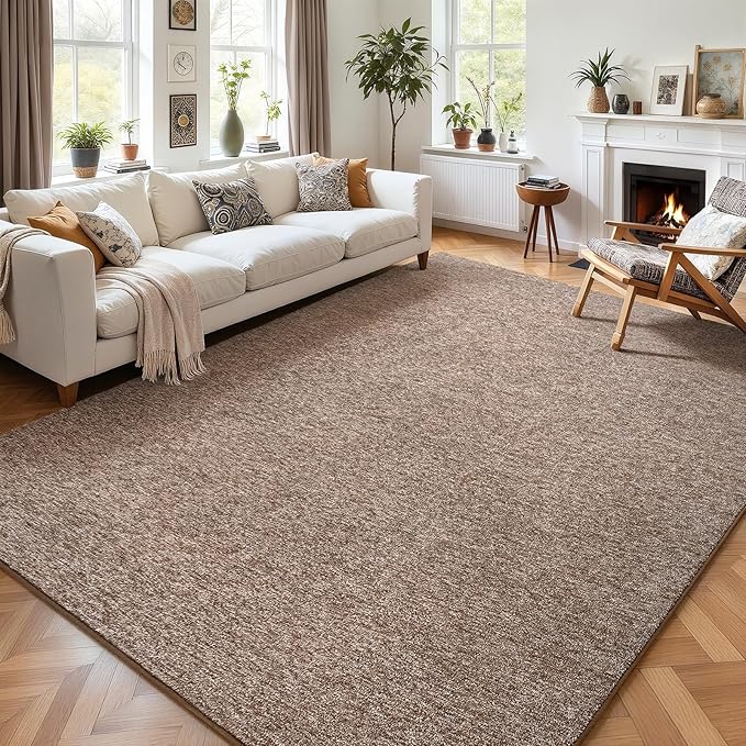 AROGAN Washable 5×7 Living Room Rug, Modern Area Rugs with Soft Memory Foam for Bedroom, Minimalist Non-Slip Indoor Floor Carpet for Dining Room Office Kids Playroom Decor, Matte Brown