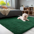 OLANLY 3x5 Machine Washable Small Bedside Rug, Soft Fluffy Shaggy Rugs for Living Room, Bedroom, Indoor Floor Carpet for Kids Girls and Boys, Preppy Dorms, Nursery, Home Decor Aesthetic, Dark Green