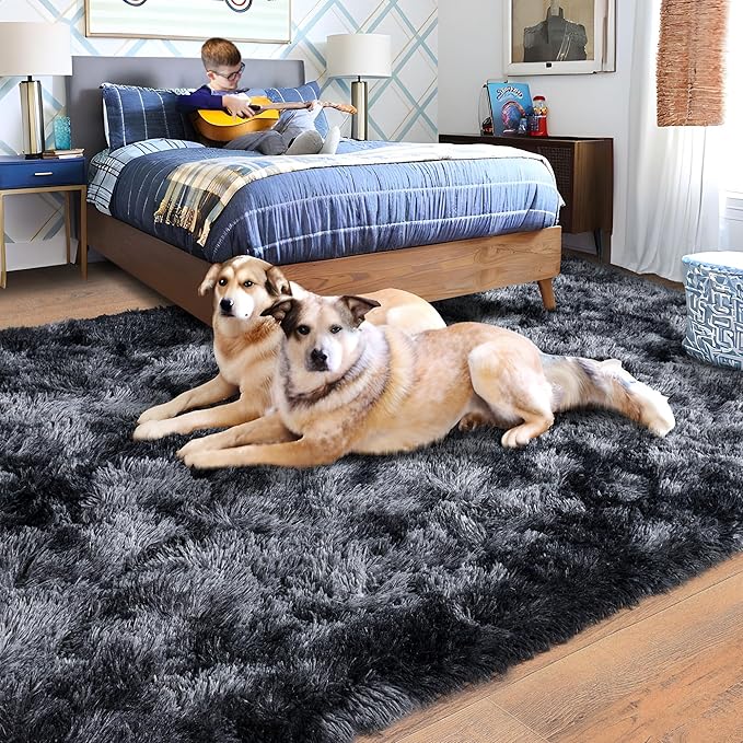Rugs for Living Room 5x7, Soft Shaggy Modern Shag Area Rug for Bedroom, Upgrade Non-Slip Plush Fluffy Carpet for Kids Boys Girls Room Home Decor Aesthetic, Dark Grey