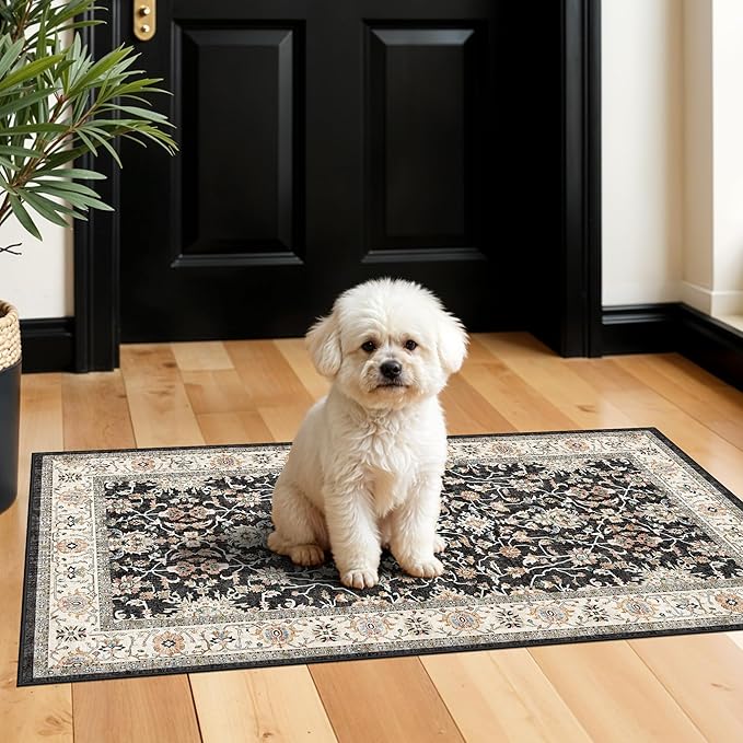 TOPRUUG 2x4 Entryway Runner Rug: Non-Slip Stain Resistant Rugs for Hallway Entry Low-Pile Soft Durable Small Door Mat Vintage Carpet for Entrance Bathroom Kitchen (Black, 2x4)