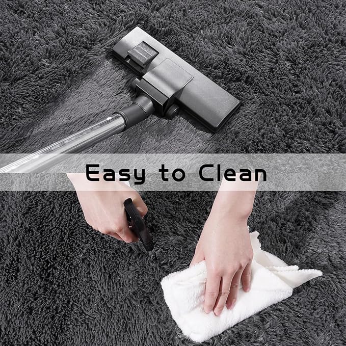 Pionblank Super Fluffy Area Rug for Living Room 5x7 Feet, Modern Indoor Shaggy Carpet, Soft Plush Non Slip Rugs for Bedroom Kids Room Teens Dorm Cloakroom Home Decor, Charcoal Grey