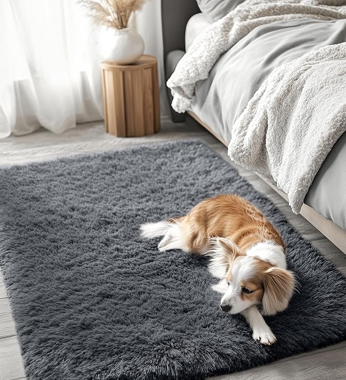 OLANLY 3x4 Machine Washable Accent Rug, Soft Fluffy Shaggy Area Rug for Bedroom, Living Room, Indoor Floor Carpet for Kids, Nursery, Home Decor, Grey