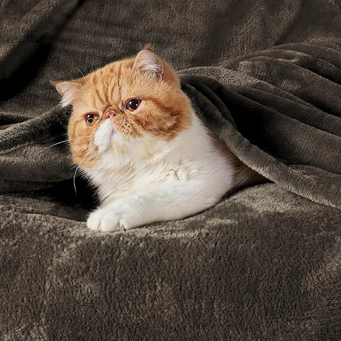 Bedsure GentleSoft Fleece Throw XL Blanket Brown - 300GSM Soft Lightweight Plush Cozy Blankets for Bed, Sofa, Couch, Travel, Camping, 50x70 inches