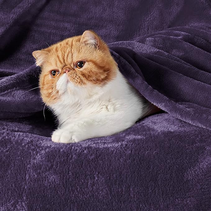 Bedsure GentleSoft Fleece Throw Blanket Purple - 300GSM Blankets for Couch, Sofa, Bed, Soft Lightweight Plush Cozy Throws for Toddlers, 50x60 inches