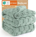 Bedsure GentleSoft Blankets Queen Size for Bed - Super Soft Cozy Blanket for Kids Girls, Large Fuzzy Fleece Spring Throw for Bedroom Decor, Sage Green, 90x90 Inches