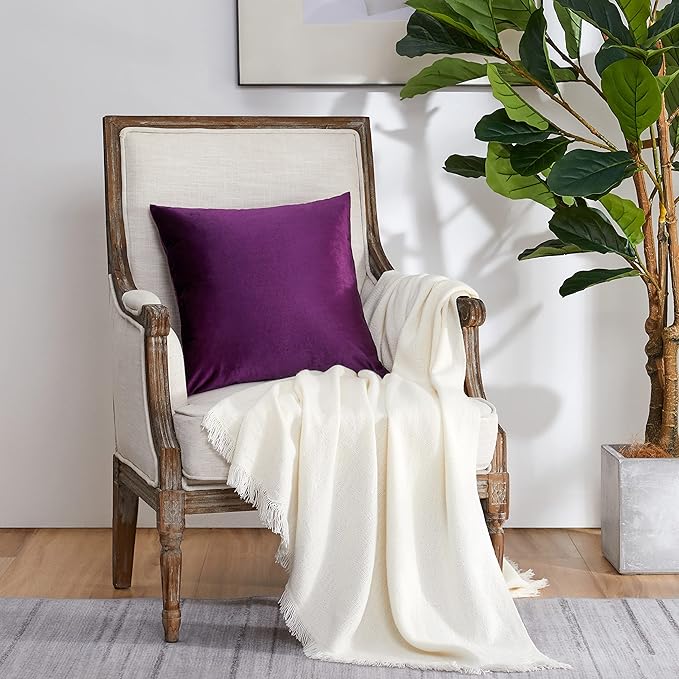 GIGIZAZA Purple Decorative Velvet Decorative 20x20 Throw Pillow Covers for Sofa Bed 2 Pack Soft Cushion Cover