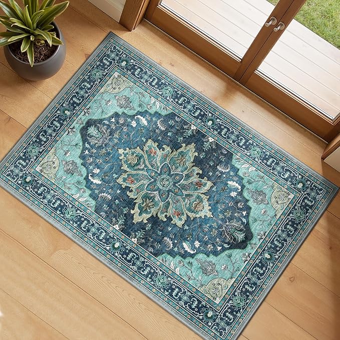 Area Rugs 2'x3' Kitchen Rugs Entry Rug Small Rugs for Entryway Kitchen Bathroom Door Mat Indoor Entrance,Washable Non Slip, Teal Green Lake Blue Turquoise