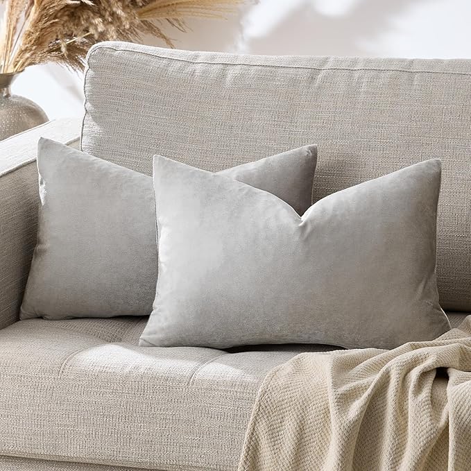 Silver Grey Velvet Decorative Throw Pillow Covers for Sofa Bed 2 Pack Soft Cushion Cover
