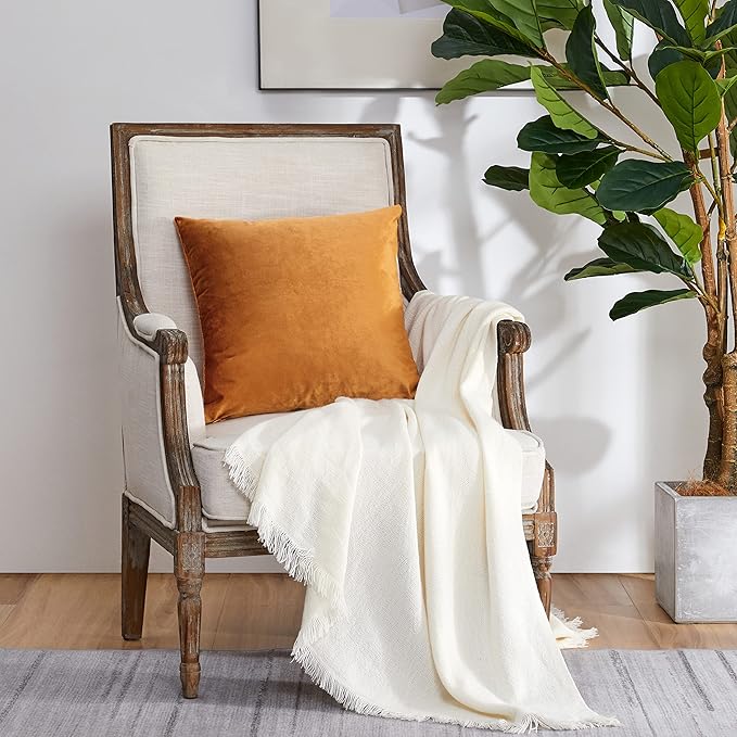 GIGIZAZA Decorative Throw Pillow Covers for Sofa,Cinnamon Orange 18x18 Velvet Bed 2 Pack Soft Cushion Cover