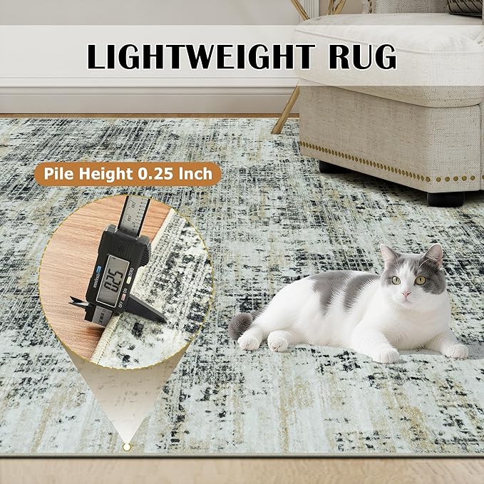 6x9 Area Rugs for Living Room Washable Rug: Anti-Skid Abstract Modern Living Room Rug Soft Thin Carpets Indoor Floor Non-Shedding Carpet for Bedroom Dining Farmhouse Nursery Black Gray Gold