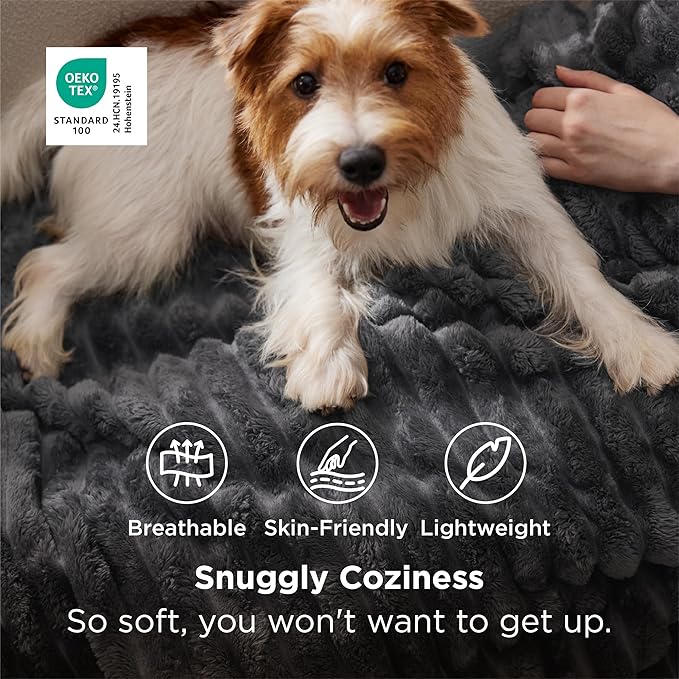 Bedsure GentleSoft Grey Fleece Twin Blanket for Couch -Cozy Soft Blankets for Women, Cute Small Throws for Girls, 60x80 Inches