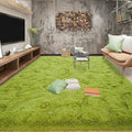 Tepook Area Rugs 9x12 for Living Room, Super Soft Fluffy Rugs for Bedroom, Modern Shaggy Rug Fuzzy Carpets for Kids, Plush Indoor Nursery Home Decor Rug with Non-Slip Bottom, Grass Green