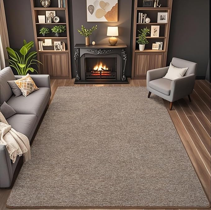 AROGAN Washable 5×7 Living Room Rug, Modern Area Rugs with Soft Memory Foam for Bedroom, Minimalist Non-Slip Indoor Floor Carpet for Dining Room Office Kids Playroom Decor, Matte Brown