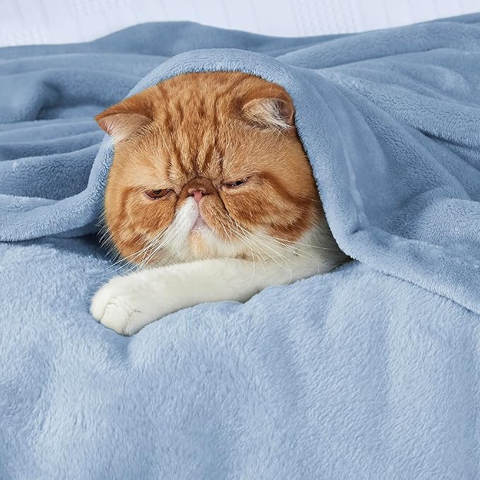 Bedsure GentleSoft Fleece King Size Blankets for Bed Light Blue - Soft Lightweight Plush Cozy Fuzzy Luxury Microfiber, 108x90 inches