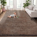 5x8 Area Rug for Living Room: Fluffy Shag Soft Washable Rugs Fuzzy Plush Indoor Carpet for Bedroom Nursery Playroom Dorm Kids Girls Boys Room (Coffee, 5'x8')