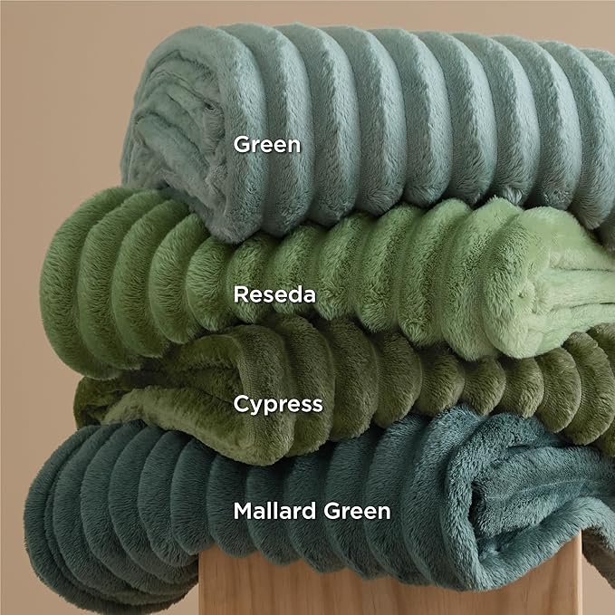 Bedsure GentleSoft Sage Green Throw Blanket for Couch - Cozy Soft Spring Blankets for Women, Cute Small Fleece Throws Spring Gifts for Women Teen Girls, Sage Green Decor Room Home, 50x60 Inches