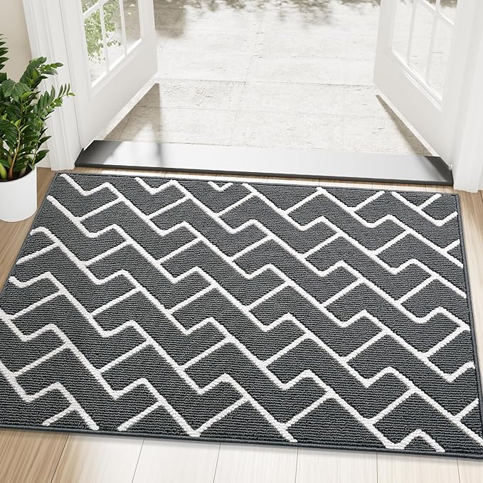 OLANLY Front Door Mat, Non-Slip Rubber Backing, Dirt Resistant and Absorbent, Washable, Easy to Clean Low-Profile Indoor Doormat for Back Door, Entryway, Inside Entrance, 48x32, Charcoal
