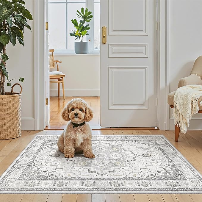 Madane Washable Area Rug 2x3, Small Entryway Rug Non-Slip Vintage Door Mat Indoor Entrance, Low Pile Floor Carpet for Inside Front Door Bedroom Kitchen Entry Laundry (2'x3', Grey)