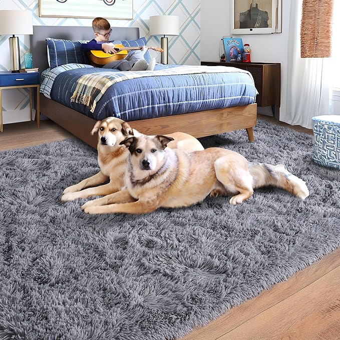 Rugs for Bedroom 4x6, Soft Shaggy Modern Shag Area Rug for Living Room, Upgrade Non-Slip Plush Fluffy Carpet for Kids Boys Girls Room Home Decor Aesthetic, Grey