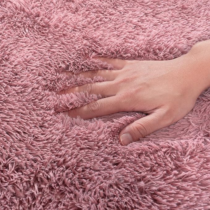 Rugs for Living Room 5x7, Soft Shaggy Modern Shag Area Rug for Bedroom, Upgrade Non-Slip Plush Fluffy Carpet for Kids Boys Girls Room Home Decor Aesthetic, Blush