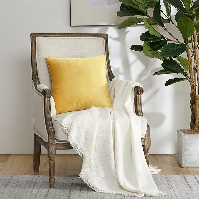 GIGIZAZA Decor Throw Couch Pillow Covers,Set of 2 Sofa Cushion Yellow Pillow Covers,Velvet Pillow Cases 24 x 24inch