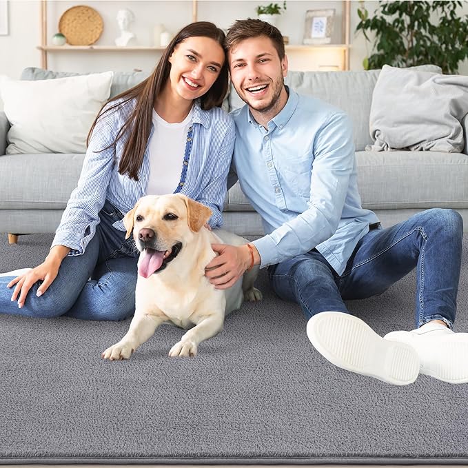 AROGAN Modern Shag Area Rug for Living Room, 6x9 Feet Washable Rugs for Bedroom, Indoor Floor Carpet, Plush Memory Foam Bedside Rugs for Kids Girls Teens Room Low Pile Rug Decor, Grey