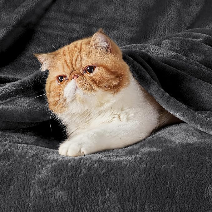 Bedsure GentleSoft Fleece Blanket Twin Size Dark Grey - 300GSM Lightweight Plush Fuzzy Cozy Soft Warm Blanket for Bed, Sofa, Couch, Travel, Camping, 60x80 inches