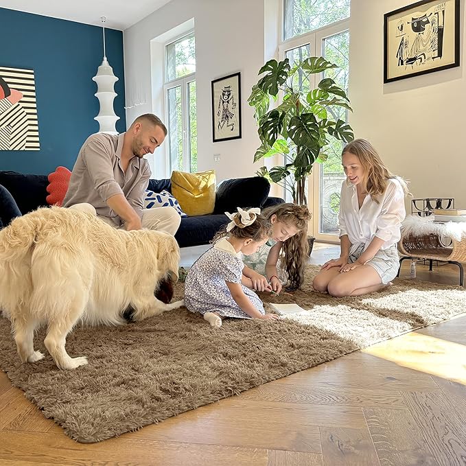 OLANLY 5x8 Machine Washable Large Area Rugs for Living Room, Bedroom, Soft Fluffy Shaggy Bedside Rug, Indoor Floor Carpet for Kids Girls and Boys, Dorms, Nursery, Home Decor Aesthetic, Taupe