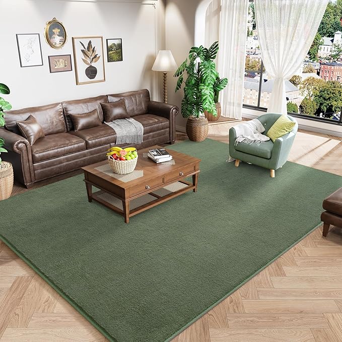 Amearea Large Modern Area Rugs for Bedroom Living Room, 5x8 Feet Sage Green Thickened Memory Foam Rug, Fluffy Indoor Washable Rugs Non Slip Minimalist Carpet for Boys Girls Dorm Nursery Room Decor